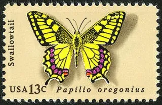 United States 1977 13 cents Papiliooregoniusstamp stamp, photographed by a collector