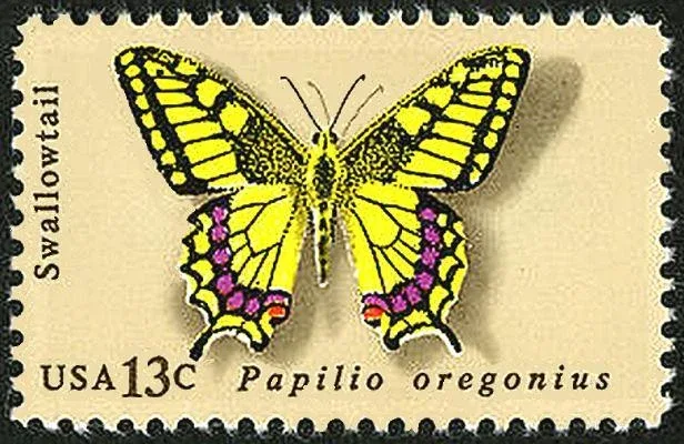 United States 1977 13 cents Papiliooregoniusstamp stamp, photographed by a collector