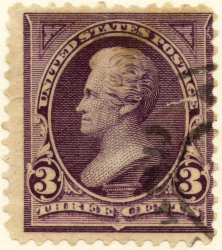 United States 1894 3c Jackson stamp, photographed by a collector