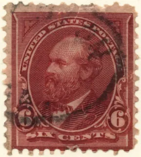 United States 1894 6c Garfield stamp, photographed by a collector