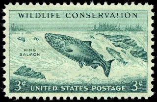 United States 1956 3 cents Wildlife salmon U.S stamp, photographed by a collector