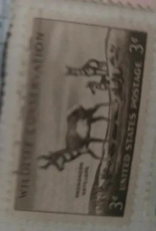 United States 1956 3 cents Wildlife antelope U.S stamp, photographed by a collector