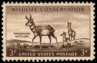 Another photo of the United States 1956 3 cents Wildlife antelope U.S stamp
