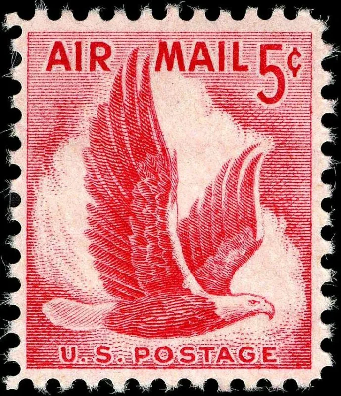 United States 1958 5c Airmail Eagle stamp, photographed by a collector