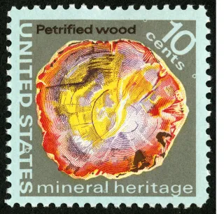 United States 1974 10c Mineral Heritage Petrified Wood U.S stamp, photographed by a collector