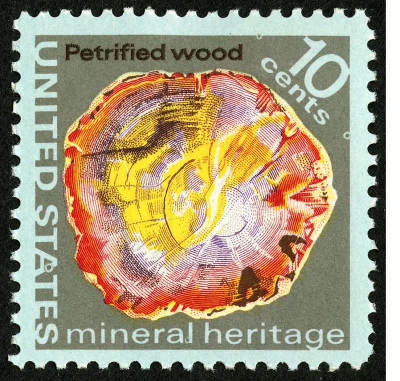 United States 1974 10c Mineral Heritage Petrified Wood U.S stamp, photographed by a collector