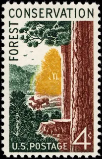 United States 1958 4c Forest Conservation U.S stamp, photographed by a collector