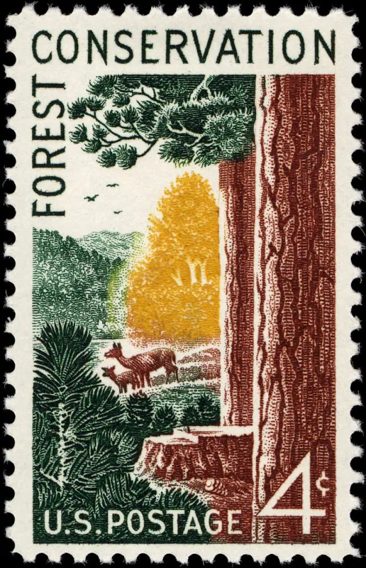 United States 1958 4c Forest Conservation U.S stamp, photographed by a collector
