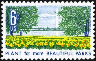 United States 1969 6c Beautification of Parks U.S stamp, photographed by a collector