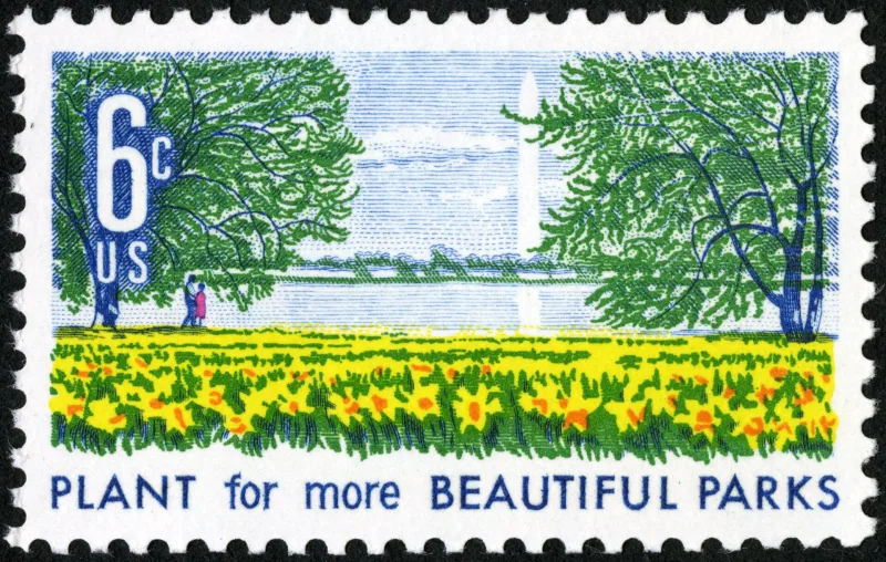 United States 1969 6c Beautification of Parks U.S stamp, photographed by a collector