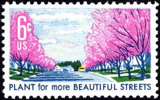 United States 1969 6c Beautification of Streets U.S stamp, photographed by a collector