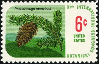 United States 1969 6c Botanical Congress Douglas Fir U.S stamp, photographed by a collector