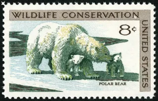 United States 1971 8c Wildlife Conservation Polar Bear U.S stamp, photographed by a collector