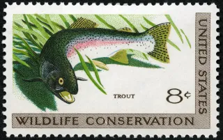United States 1971 8c Wildlife Conservation Trout U.S stamp, photographed by a collector