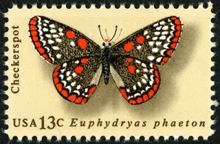 United States 1977 13c Butterfly Checkerspot U.S stamp, photographed by a collector