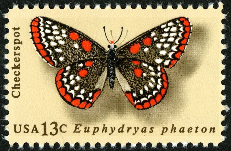 United States 1977 13c Butterfly Checkerspot U.S stamp, photographed by a collector