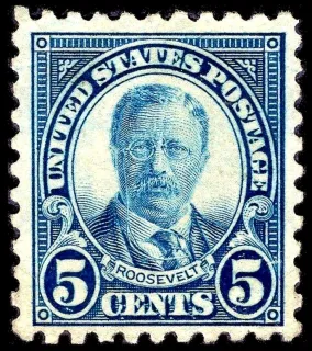 United States 1922 5c Theodore Roosevelt stamp, photographed by a collector