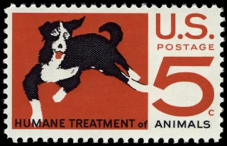United States 1966 5c Humane Treatment of Animals U.S stamp, photographed by a collector