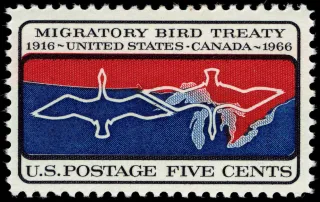 United States 1966 5c Migratory Bird Treaty U.S stamp, photographed by a collector