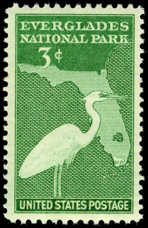 United States 1947 3c Everglades National Park U.S stamp, photographed by a collector