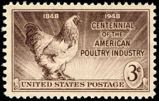 United States 1948 3c Poultry Industry Centennial U.S stamp, photographed by a collector