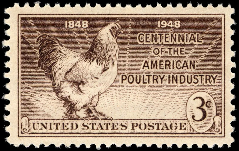 United States 1948 3c Poultry Industry Centennial U.S stamp, photographed by a collector