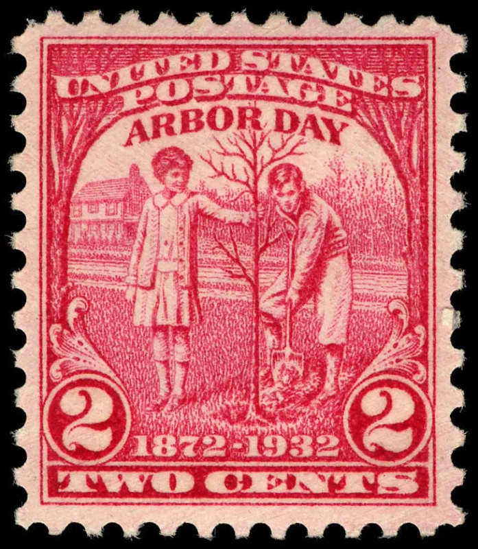 United States 1932 2c Arbor Day U.S stamp, photographed by a collector