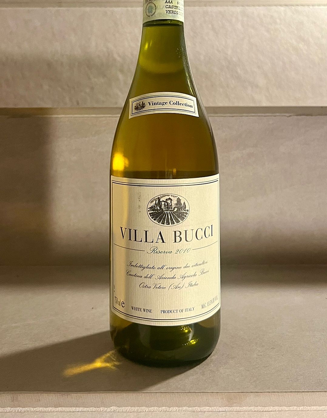 Verdicchio Castelli di Jesi Riserva 2010 – Villa Bucci