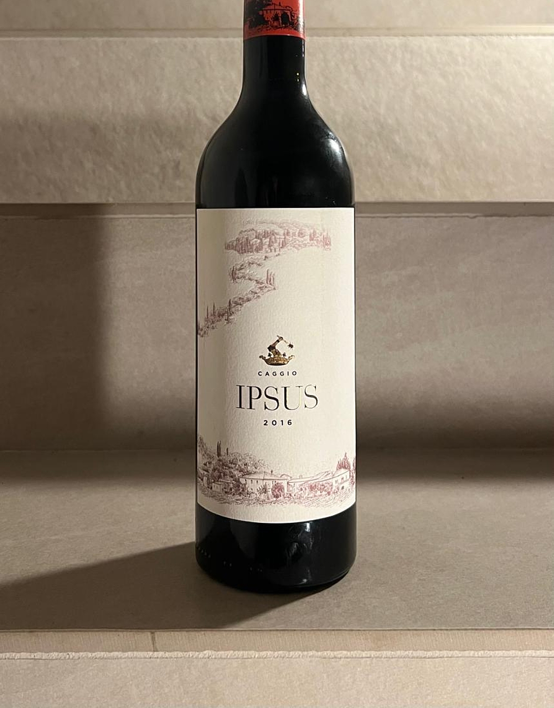 Ipsus2016