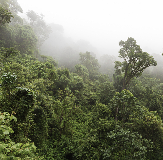 Magoebaskloof