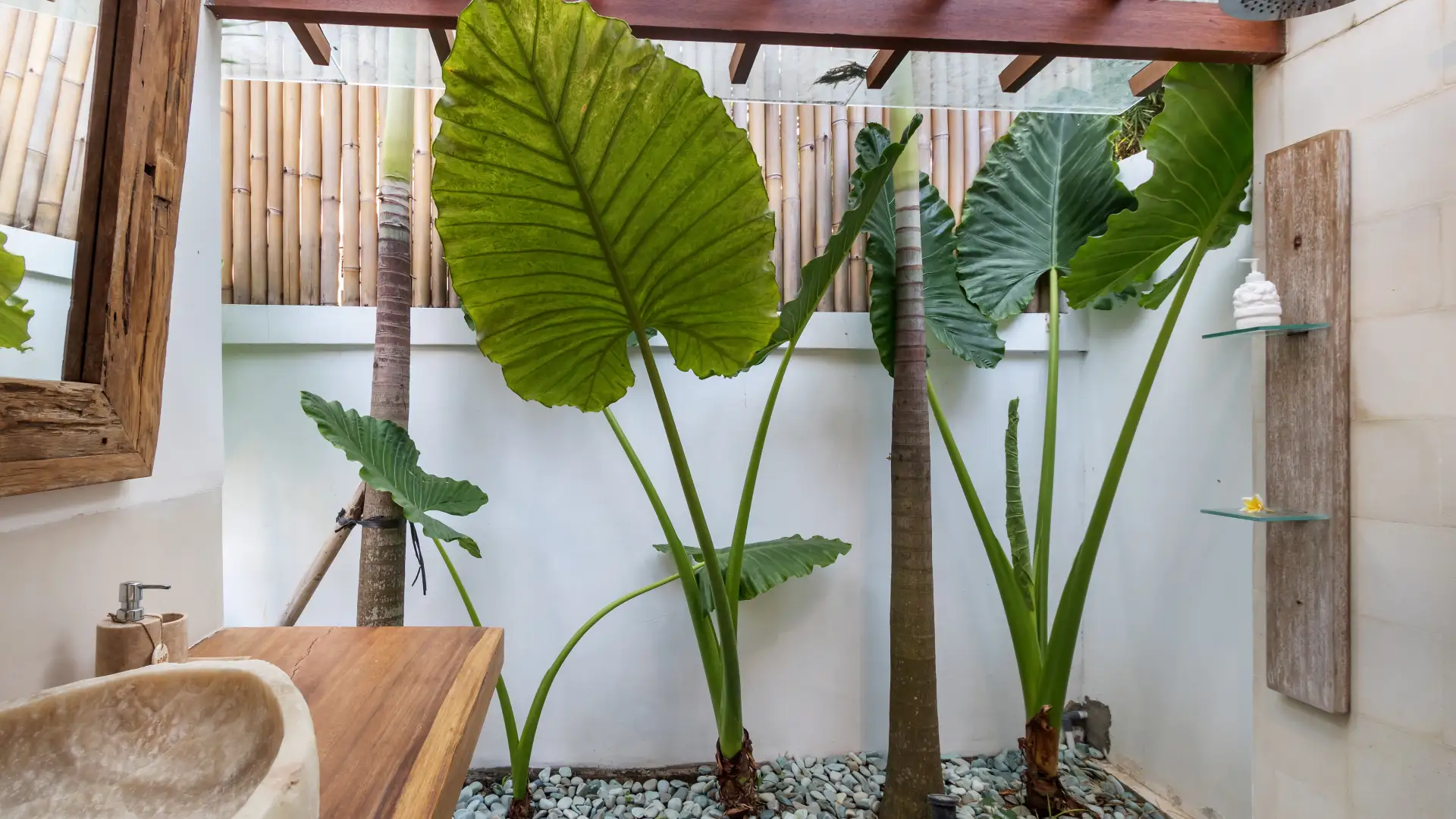 Cozy 3BR Villa in Seminyak