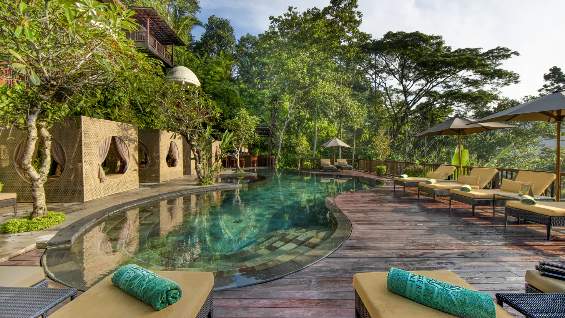 Shared Pool - Nandini Jungle Villas