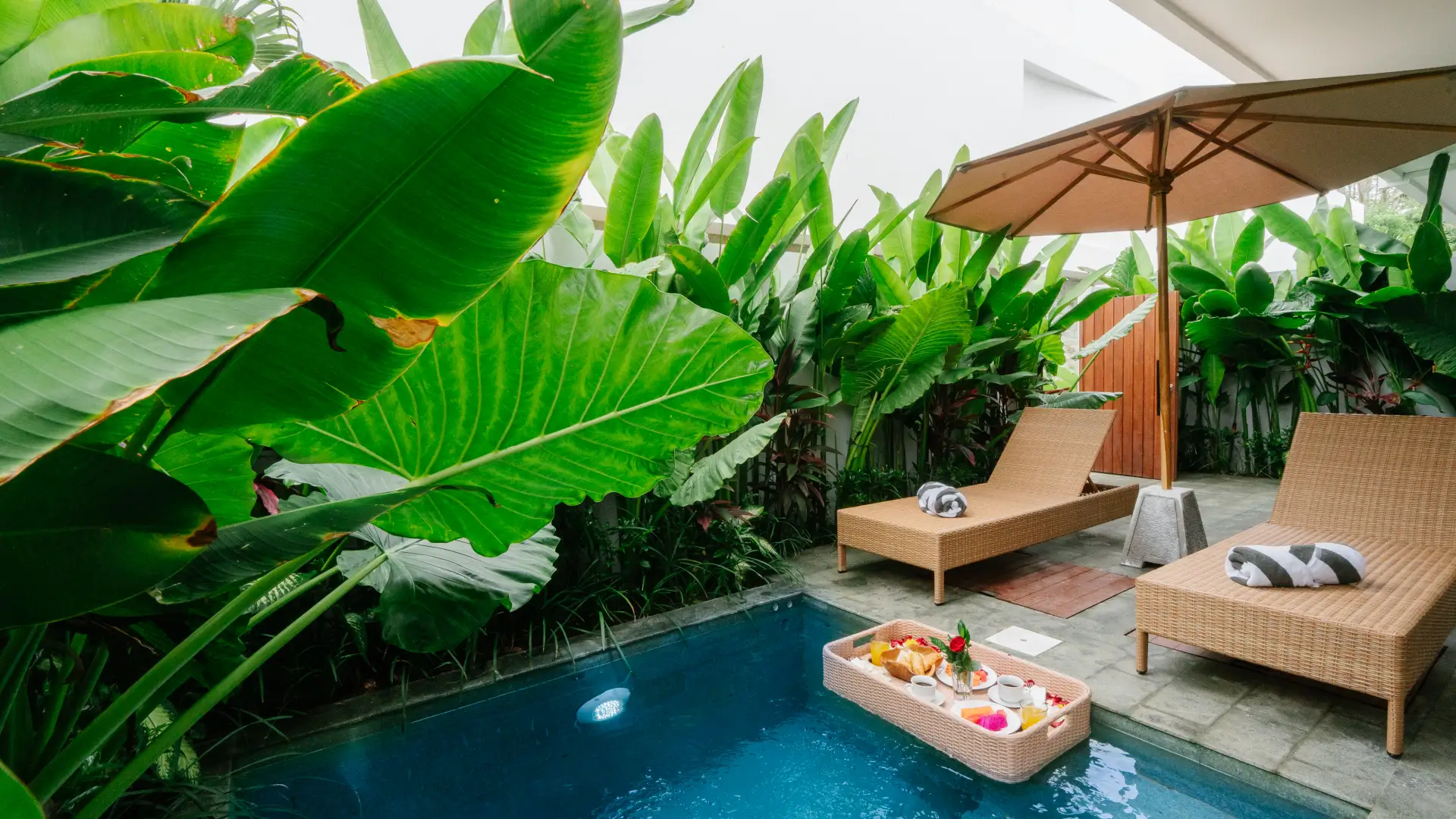 Private Pool - The Reef Villa