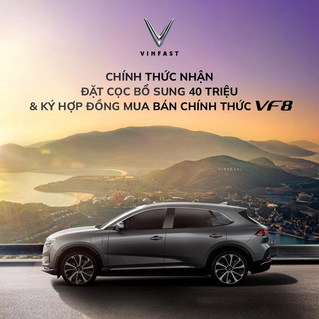đối tượng cọc bổ sung VinFast VF 8