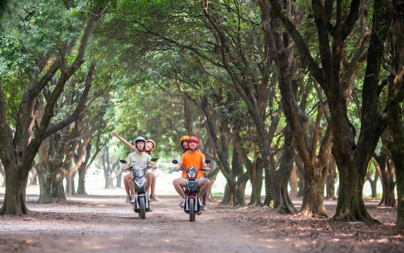 Đăng ký xe, biển số xe, đội mũ bảo hiểm đầy đủ khi tham gia giao thông