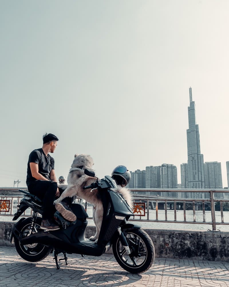 Xe máy điện VinFast Theon