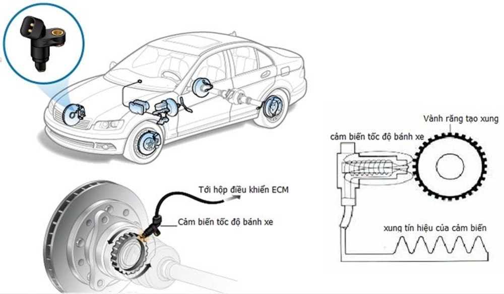 Nguyên lý hoạt động của cảm biến tốc độ ô tô