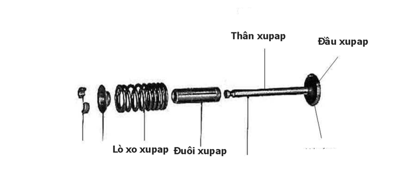cau tao xupap dong co o to