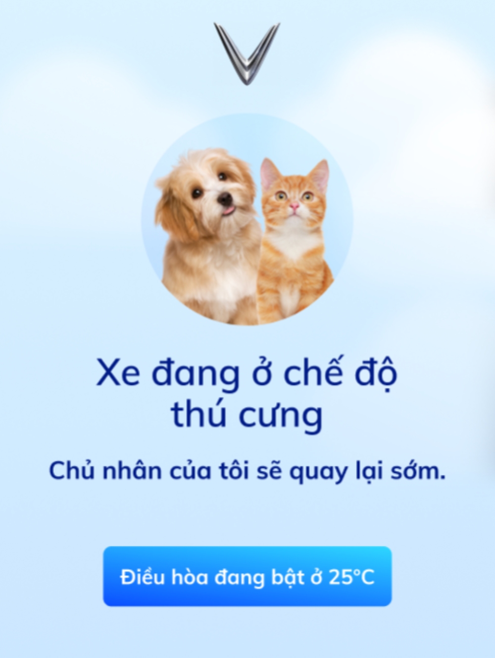 Hướng dẫn sử dụng tính năng giải trí trên VF e34 với chế độ thú cưng