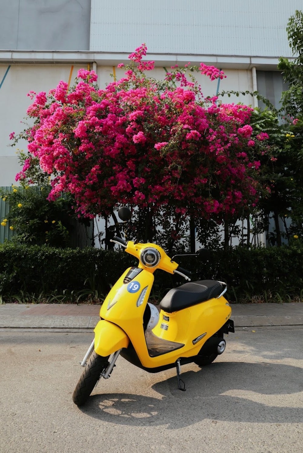 chưa đủ 16 tuổi lái xe 50cc phạt bao nhiêu