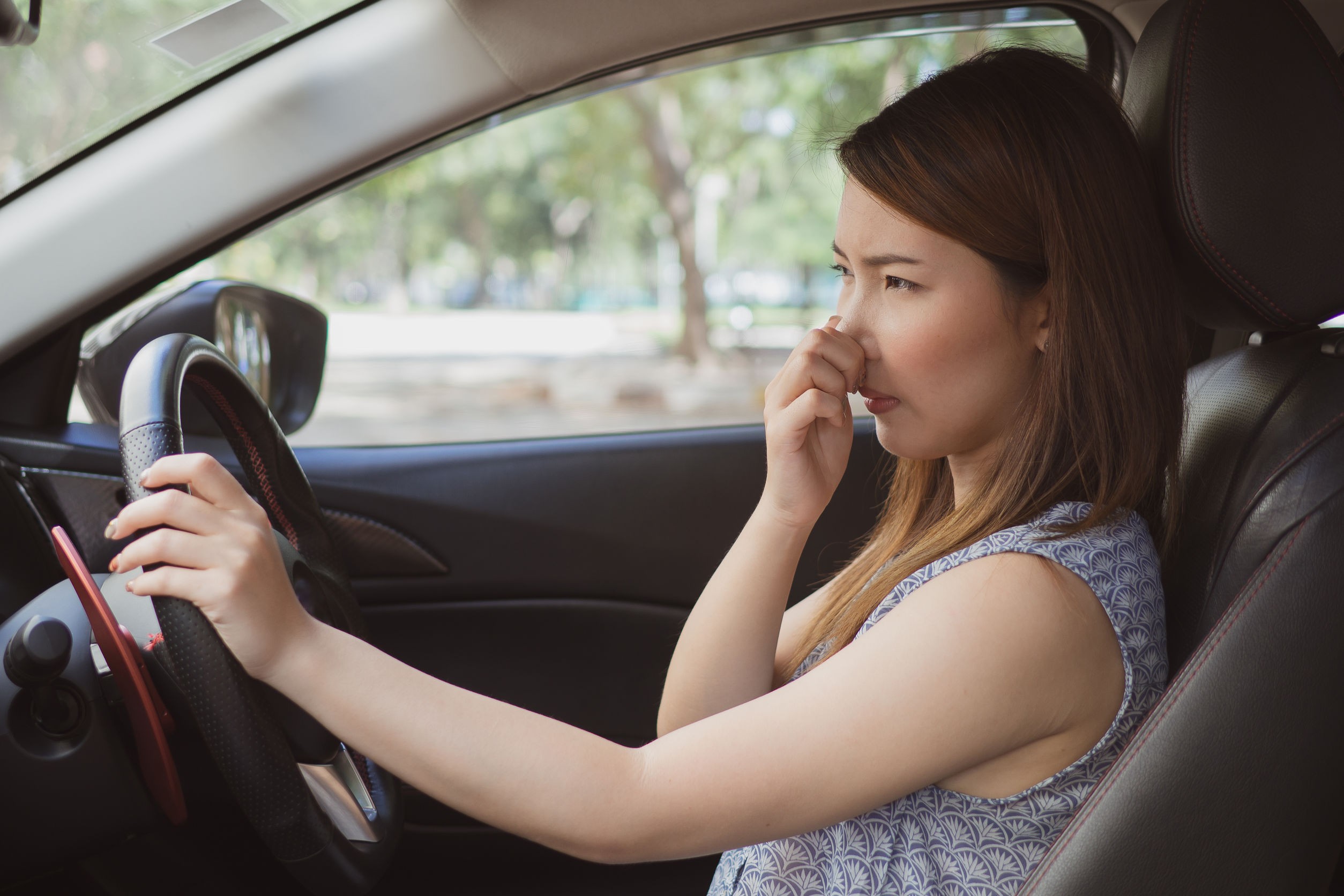 Đồ ăn có thể gây mùi khó chịu là lý do vì sao không nên để thức ăn trên xe hơi