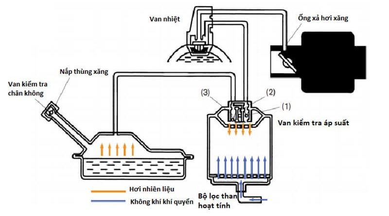 Nắp thùng xăng của EVAP system