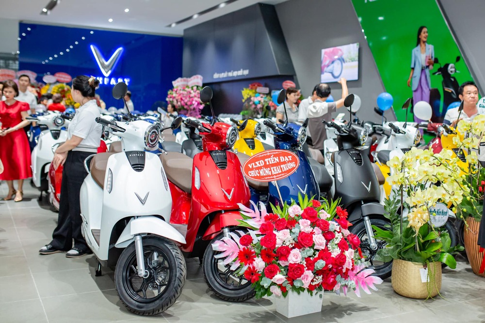 kinh doanh gì với 500 triệu