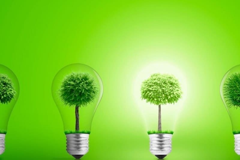 các loại năng lượng tái tạo sinh học bắt nguồn từ động vật, cây trồng