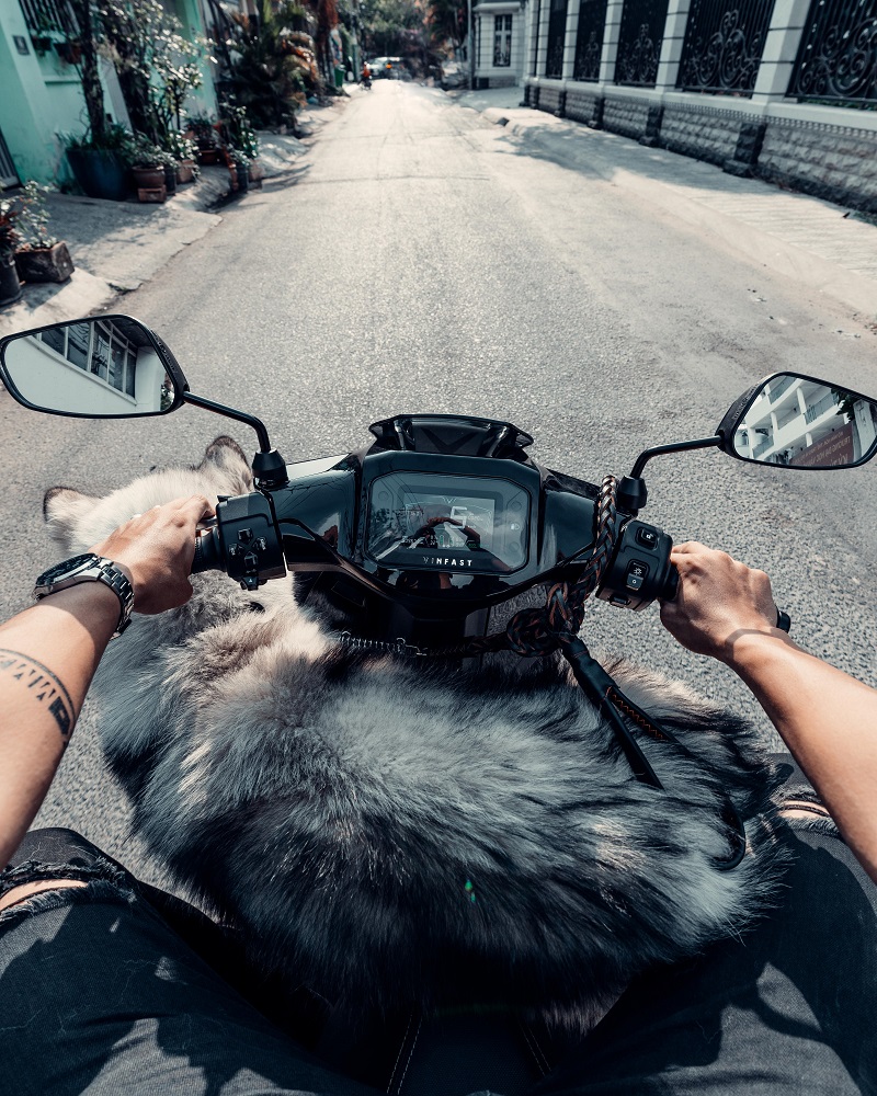 Hãy xác định rõ bạn mua xe mới để làm gì? (Nguồn: Vinfastauto.com)