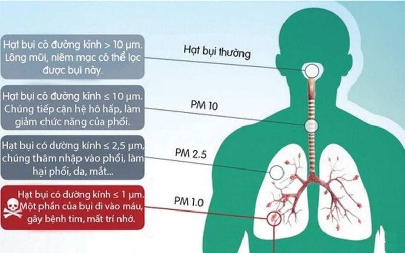 phương tiện xanh góp phần bảo vệ môi trường