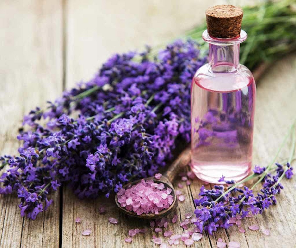 Sử dụng hoa oải hương - lavender để làm tinh dầu treo xe ô tô