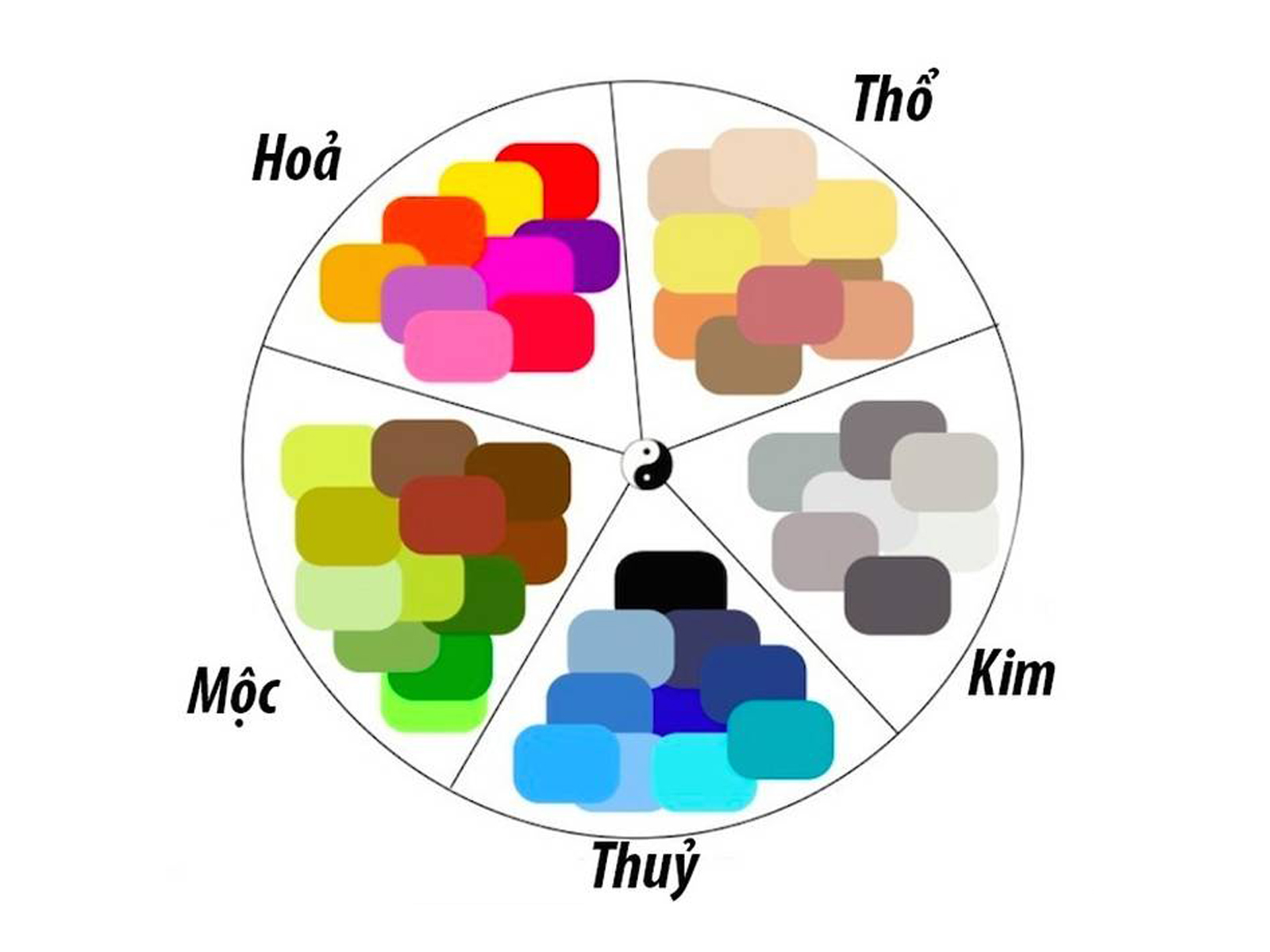 hinh anh di tim loi giai cho cau hoi menh thuy hop cay gi so 2