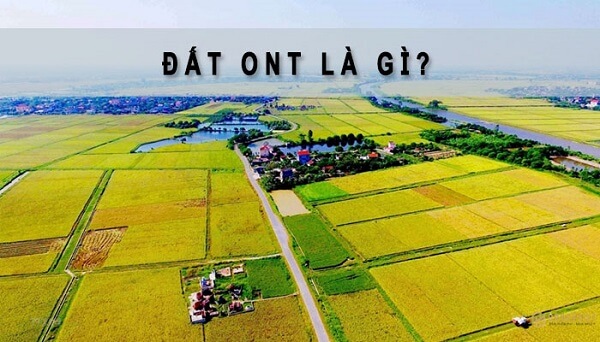 hinh anh dat ont la gi cac quy dinh ve viec su dung dat ont can biet so 1