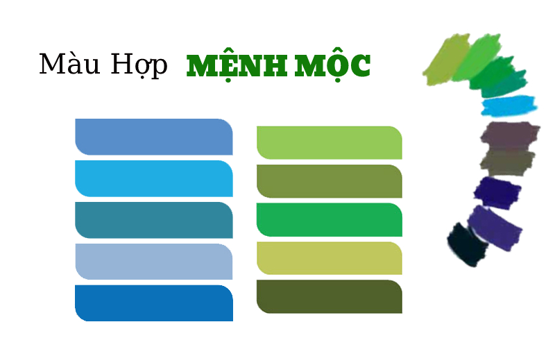 Bảng màu hợp với người tuổi Nhâm Ngọ 2002
